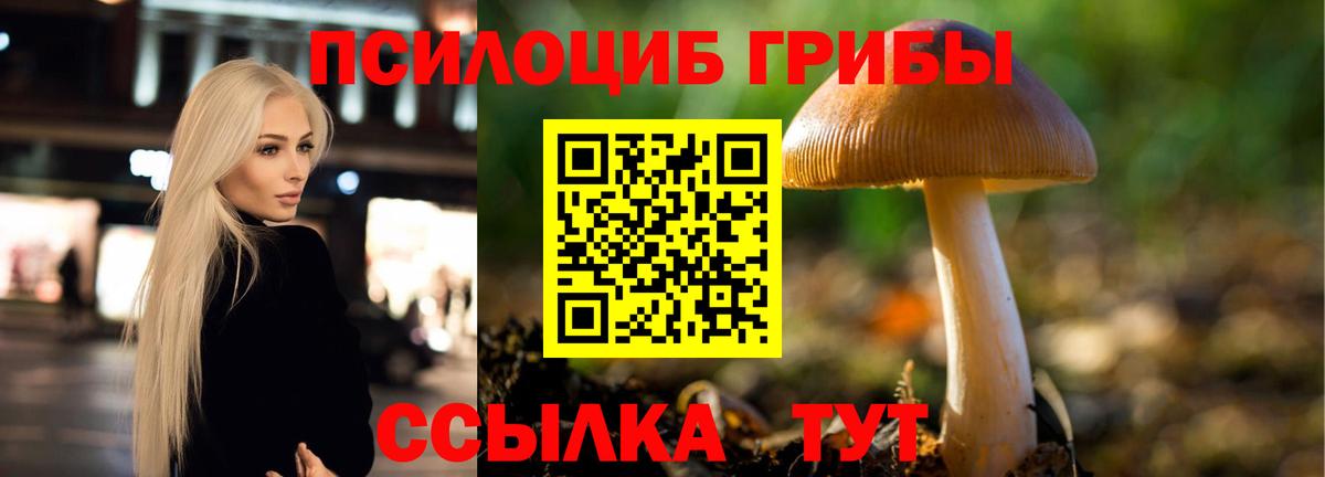 Магнитогорск  Псилоцибиновые грибы мухоморы  Вход с VPN 